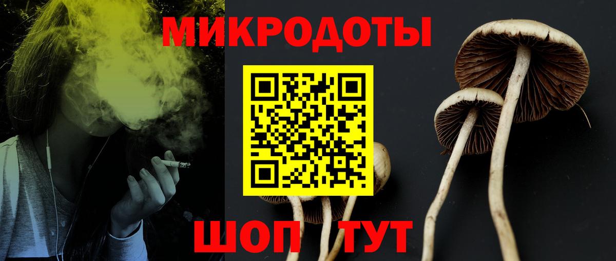 Ефремов  хочу   Псилоцибиновые грибы Magic Shrooms  Вход с VPN  Псилоцибиновые грибы MAGIC MUSHROOMS 